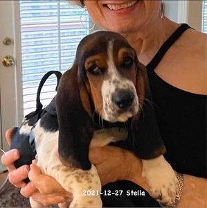 Meet your Posher, Dana